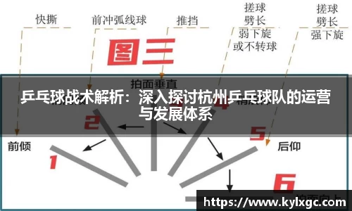 乒乓球战术解析：深入探讨杭州乒乓球队的运营与发展体系