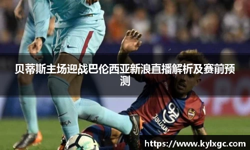 yy易游体育平台